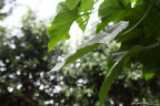 IMG_2012_05_13_0285