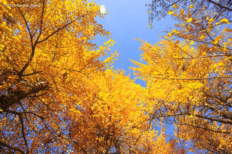 尼康定焦20<em>mm贴图</em>区(第二辑) - 摄影镜头 - 色影