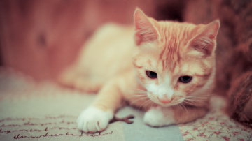 PS中怎么用笔刷给人嘴唇换色