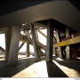 Bird's nest (5)
