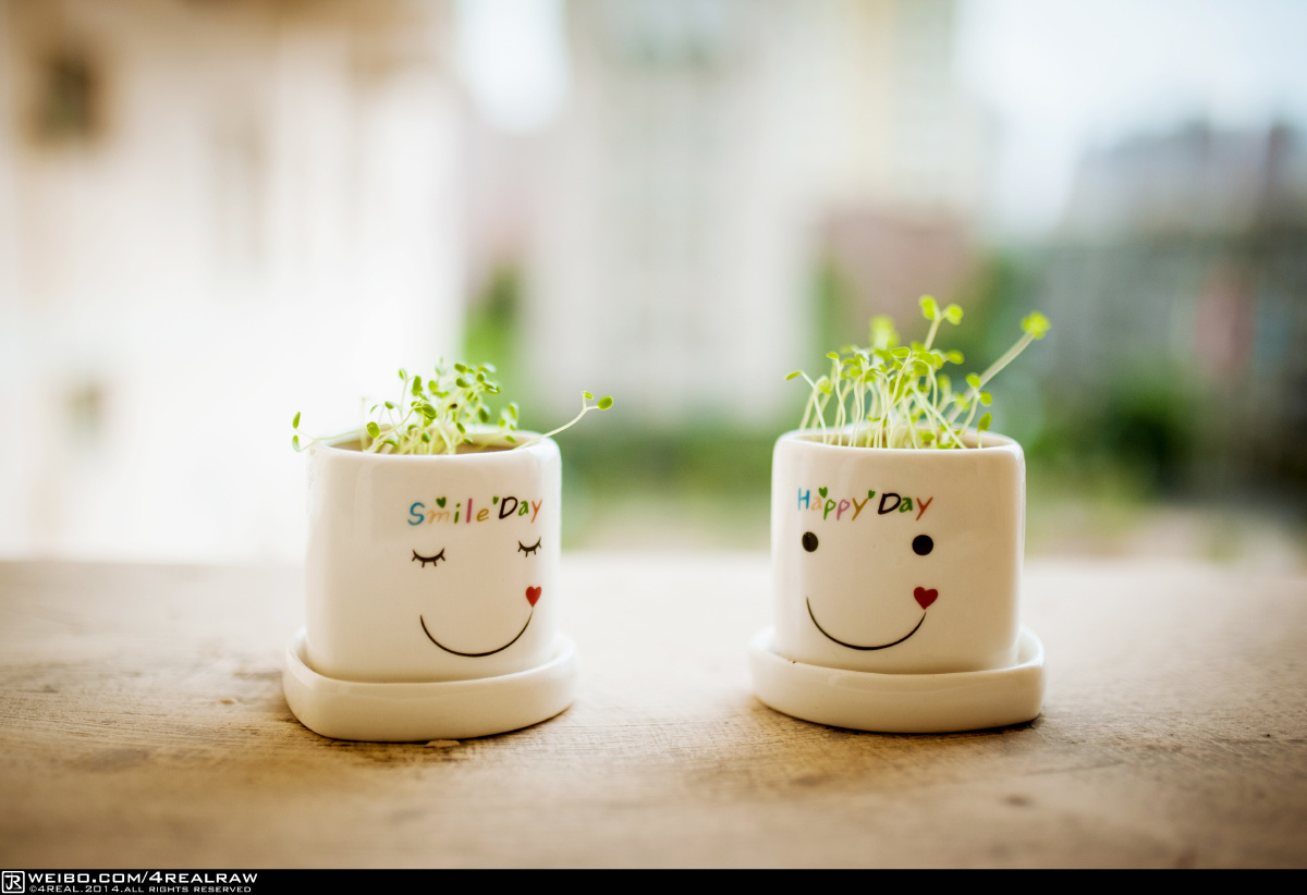 往事不可追 - 35mm, lomo, 静物, 尼康, 新疆 - 4