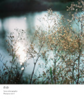 pentacon six tl