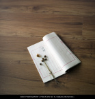 pentacon six tl