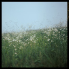 Pentacon six