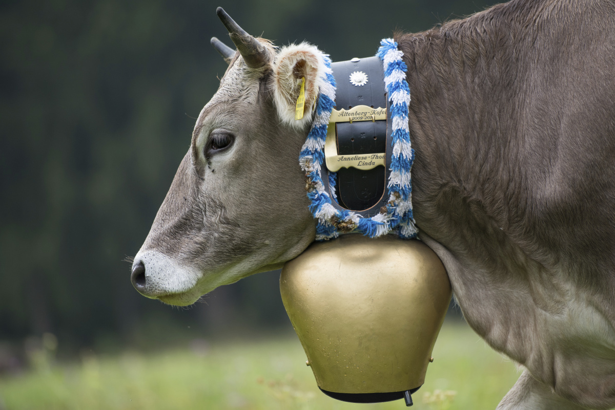 TTW_9503 - xjtang - 图虫摄影网