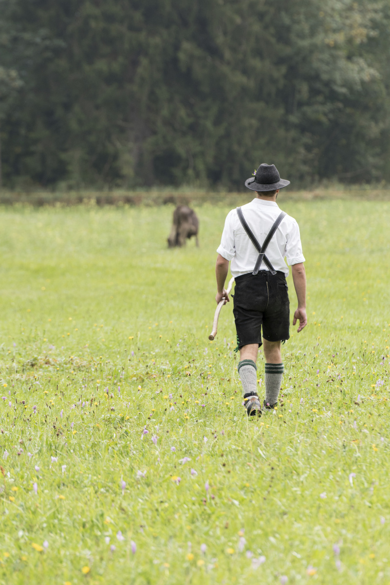 TTW_9540-编辑 - xjtang - 图虫摄影网