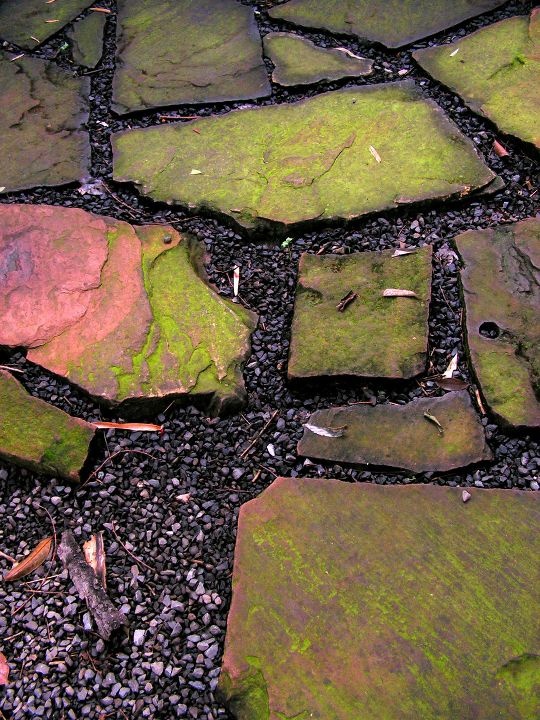 苍苔小径+-+煌煌终日