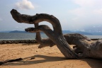 海边