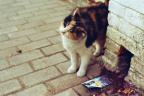 frame05-08