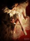 IMG_9839@