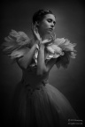 IMG_9877@