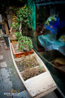 GWX_0369 1