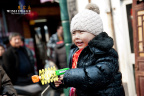 GWX_0252 1