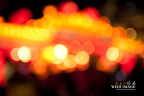 GWX_0889 1
