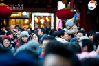 GWX_0758 1