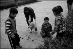 玩石头