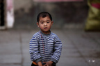 DPP_003796