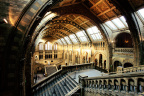 Natural History Museum