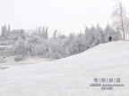 20080129_1c25d2f612d2d486c735nU2NiRbaj61e