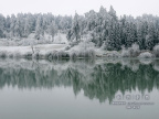 20080129_74e34d39a6ac37958afahTzCckmsM9RD