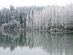 20080129_245fac44d64c453eeafbYVHww9338TwB