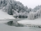 20080129_02744b115aee6c1ad5773AZDCDXEszh1