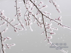 20080129_3484d3c147fcf20ee96fBgC8gcB8f9tG