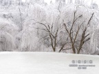 20080129_5352c0d7975ff84b4a12sNe8Ri816gKN