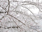 20080129_3966452946cffc3abaa7iZt8ZMGNRLCE