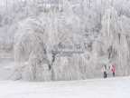 20080129_bf6f08a79a02e1daa7c98OSLwi71VdgX