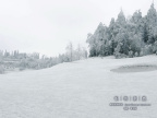 20080129_d27b3275f5c3d71be078PKaqyPXt1mNC