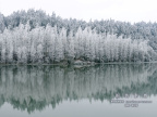 20080129_fb30b28ba4375ab460bb1MLnvB72abG1