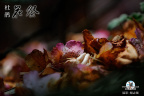 2010051116345820