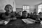 _DSC0224