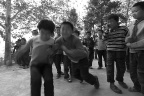 _DSC0230