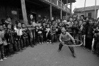 _DSC0563