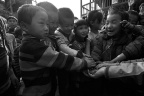 _DSC0706