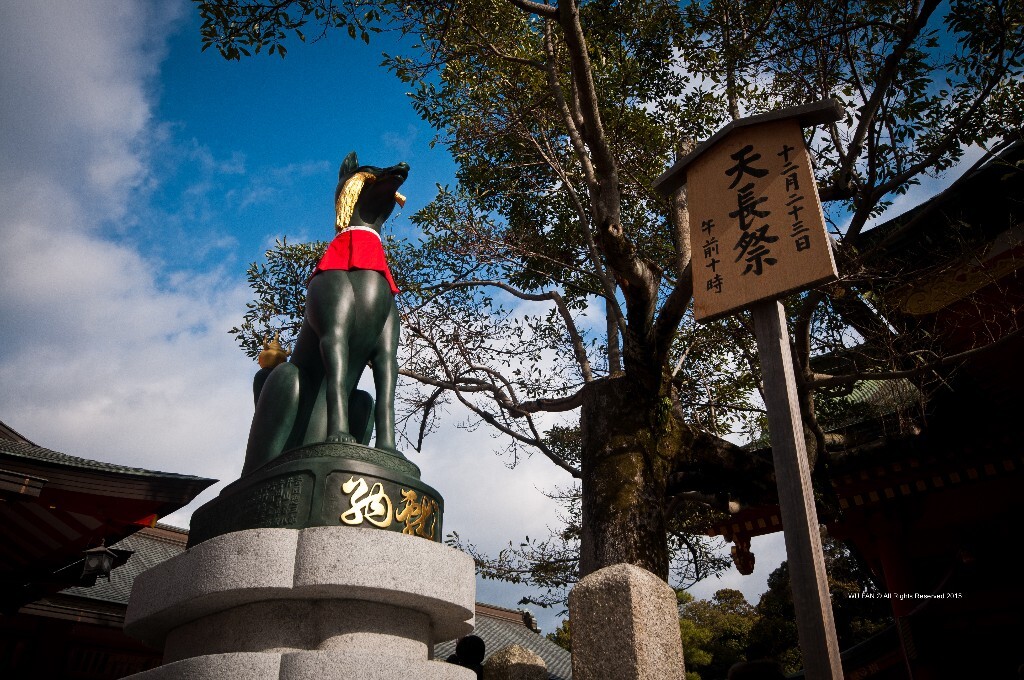 日本文化之都 - 京都之旅 - 风景, 旅行, 日系, 尼