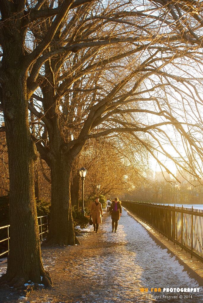 Strolling in Sunset - 人文, 生活, 抓拍, 尼康 - Str