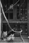 西藏南路(2)