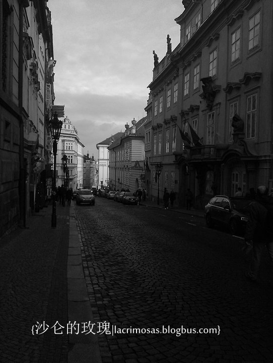 IMAG0544_