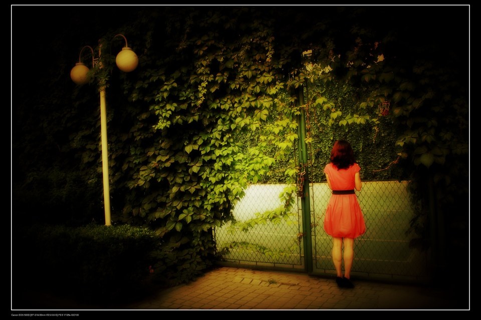 一个四面爬满爬山虎的小篮球场 - KellyQu