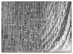 R1080719