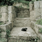 2003_02zm0016-12