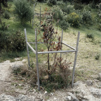 2003_02zm0036-08