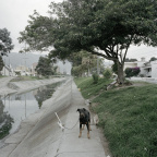 2003_02zm0041-09