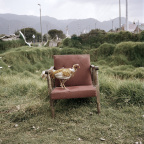 2003_02zm0045-05