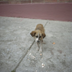2003_02zm0076-04
