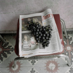 2003_02zm0082-07
