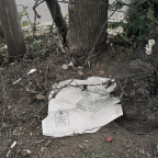 2003_02zm0083-03
